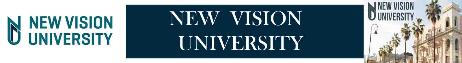 new vision university