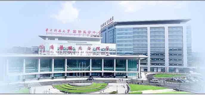 tongji medical university